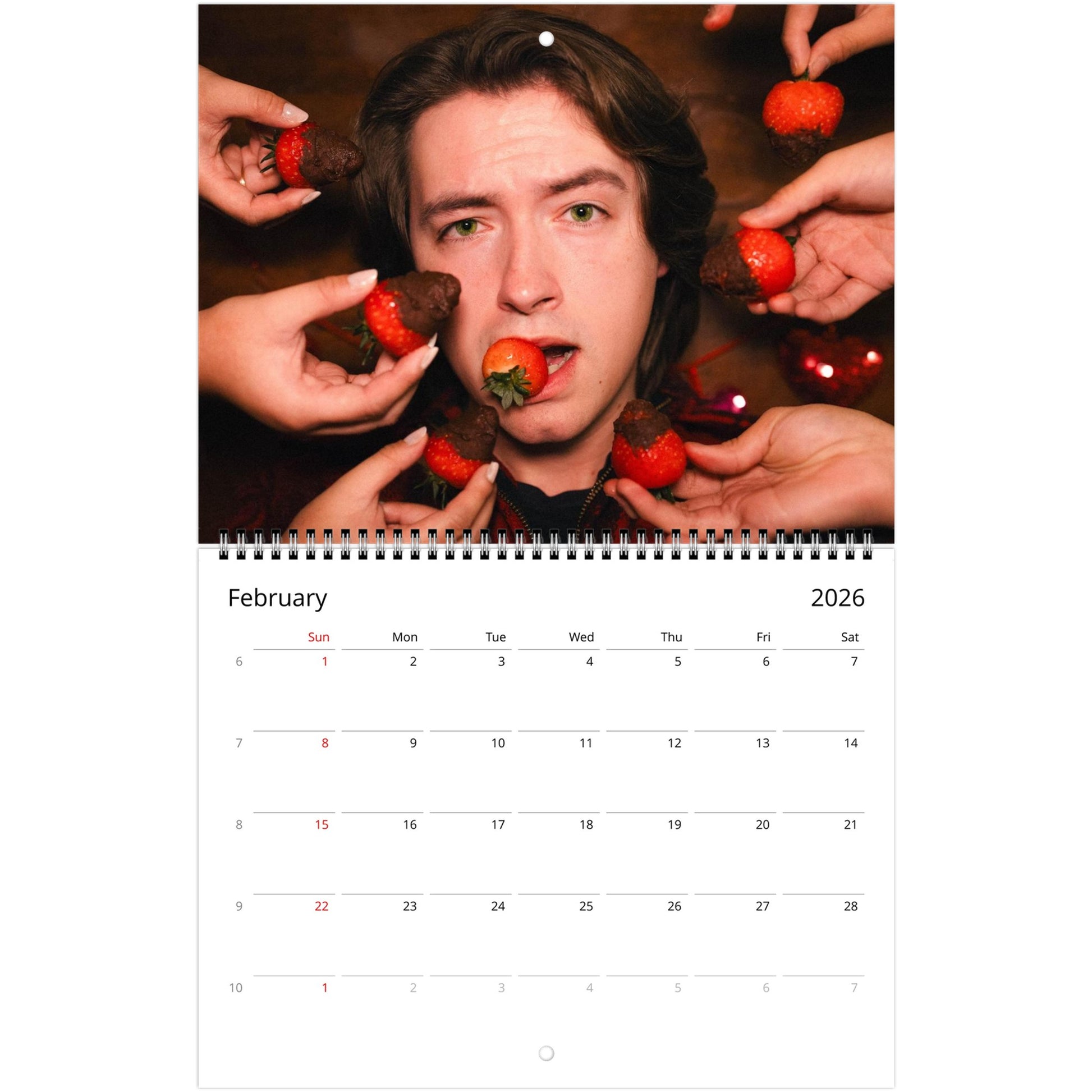 ab8b5d9b-24e7-48e2-9555-5da01677cc41